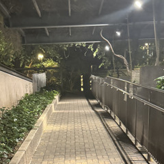 チョコレイトディスコ(nightcore)