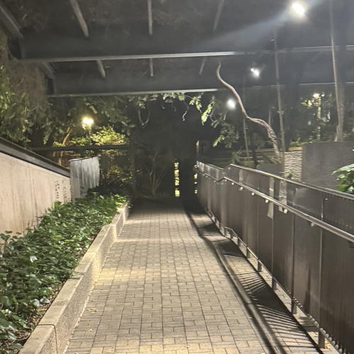 チョコレイトディスコ(nightcore)