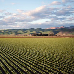 It Gets Cold Sometimes - Swifty