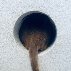 Ruben Distinguin - Jump Off The Roof (feat. fakeproject)