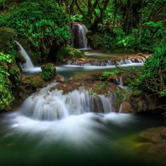 Cascades (with Wilfred Kozub)