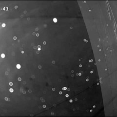 NOTHIN LEFT FREESTYLE🥶