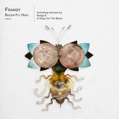 Premiere : Franqy - Buzzin Fly High (Nolga Remix) (KNM1001)