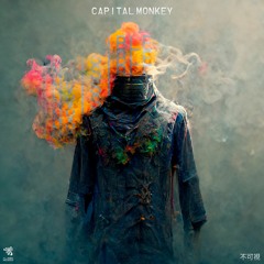 Capital Monkey - Invisible