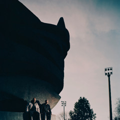 Line Noise 239 (Modeselektor)