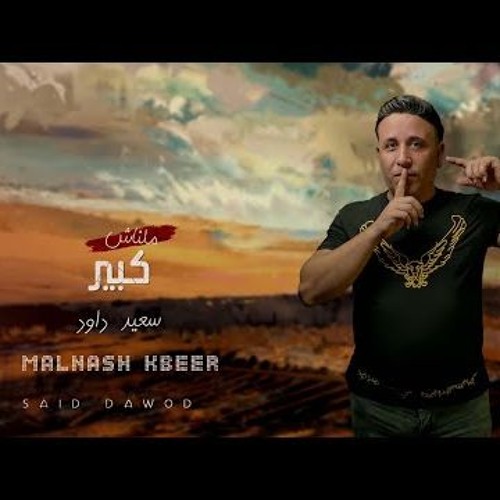 مهرجان مالناش كبير - سعيد داود - MP3