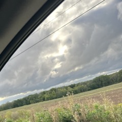 Grey skies