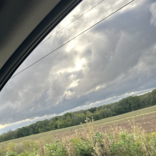 Grey skies