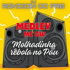 - MEDLEY MC GW MOLHADINHA REBOLA NO PAU ( DJ RONISIN DO PRB )