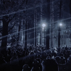 Woods