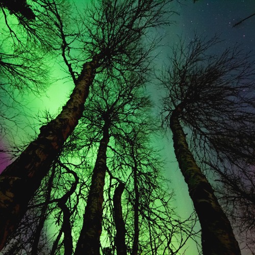 Meditative ambient soundsacpes | Yogic Sound Healing Journey Music