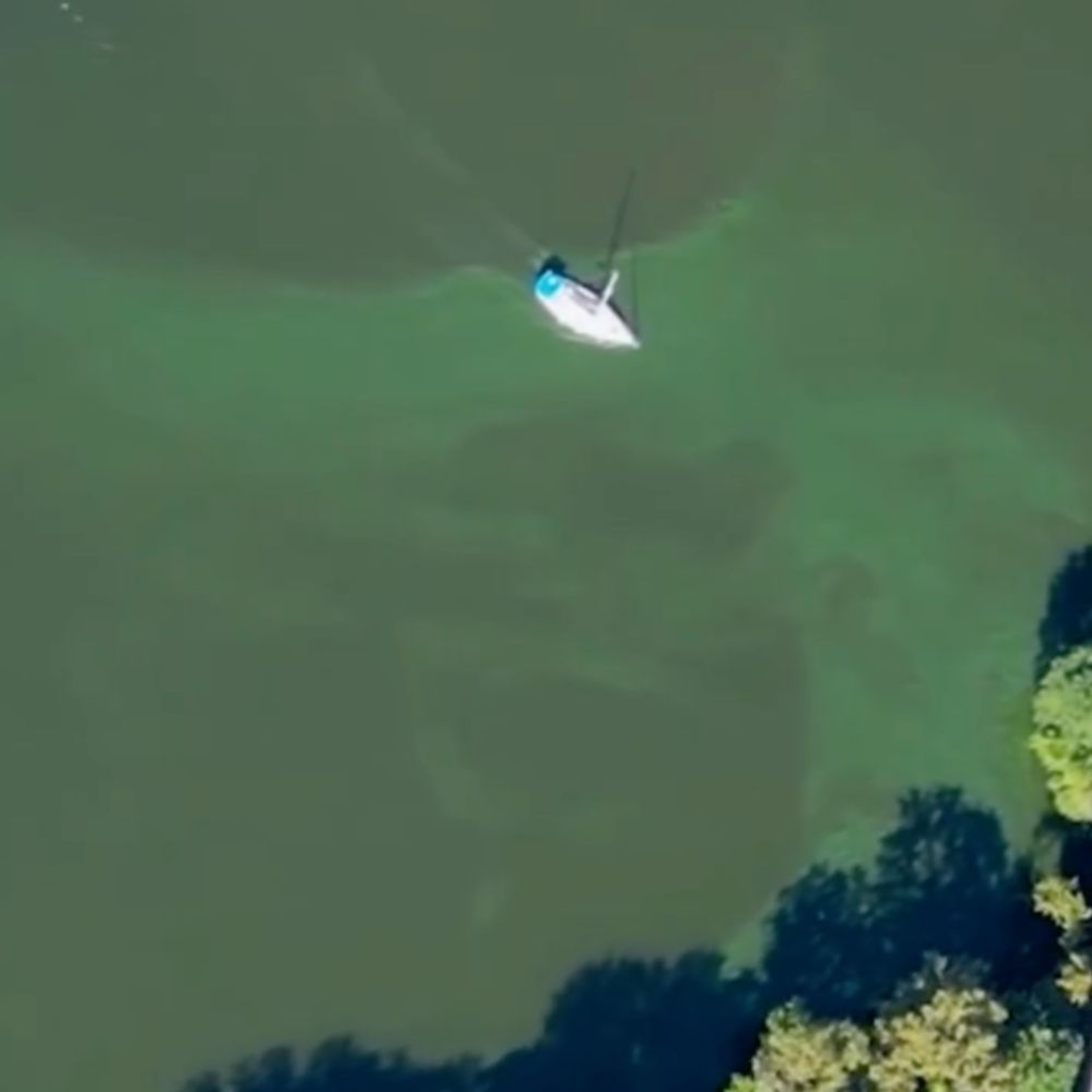 Hudson Mohawk Magazine