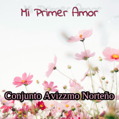 MI PRIMER AMOR - CONJUNTO AVIZZMO