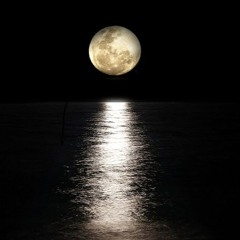 Moonlight (Re-arrangement)