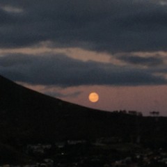 You never ask me to stay