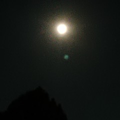 the moonlight