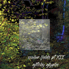 scalar fields pt 12: glitchy glyphs-with Sonic Structures and Silent Stretches