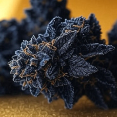 轍 PROD. 色八 - 世惡怒亞