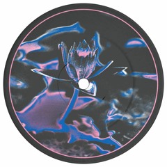 Premiere: Swoose 'Introspective'