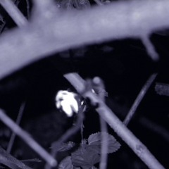 Canciones contemplativas - Piano y Soprano - Piano: Cecilia Foj - Soprano: Silvina Suárez