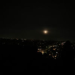 Woftg!!! (watch it )ft:Mcxlor3