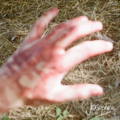 Bleed Me Dry