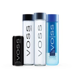 voss (ft. cl9udy)