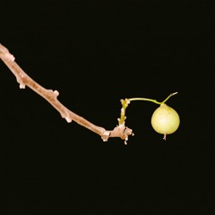 Goblin Trapeze