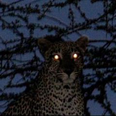 6:00 (MIX)