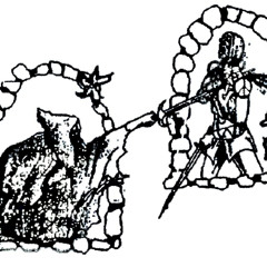 libra+ biforin - usb