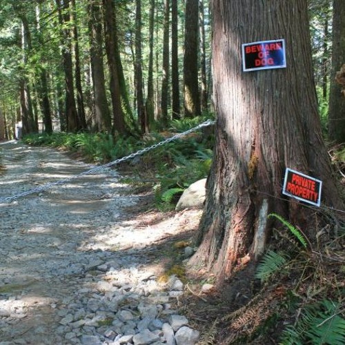 Stream CKTZ News Sawmill Road neighbourhood loses “unofficial” beach