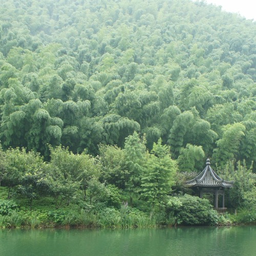 Bamboo Mountain