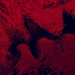 DJ GeezAKey - Schwarze Witwe