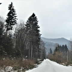 ON THE LAST METERS OF WINTER. (На последних метрах зимы).