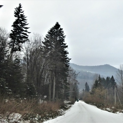 ON THE LAST METERS OF WINTER. (На последних метрах зимы).