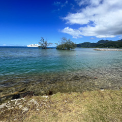 UA NA TE TAMA'I DEMO 01