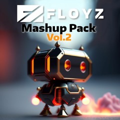 Floyz Mashup Pack - No.2 [Bass & Electro House]