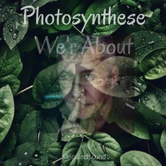 Photosynthese We'r About