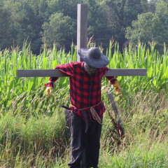 The Harvester Hunts