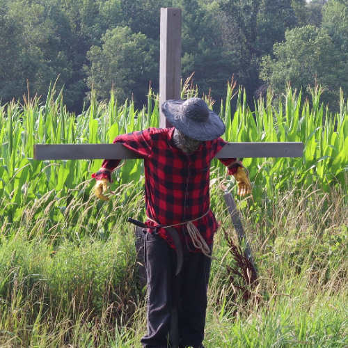 The Harvester Hunts