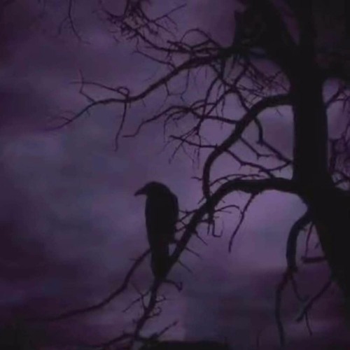 HOWL AT THE MOON (prod. by akira gautama) trap, rap, phonk