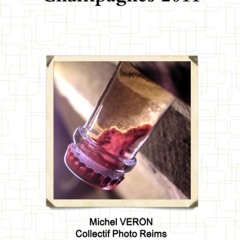 GET ✔PDF✔ Guide V?ron des Champagnes 2011 (French Edition)