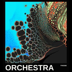 Orchestra