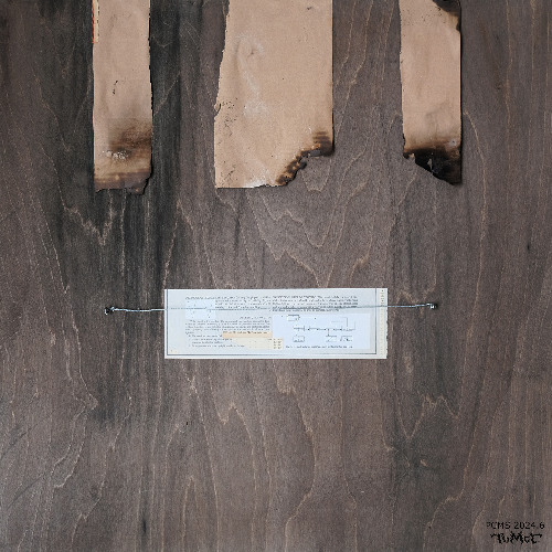 [Premiere] ±v​McÇ x QuaCzar - ₢ⲆT_N (out on Pinecone Moonshine)