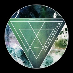 Various Artists - Deeptrick Vol. 12 [WHO285]