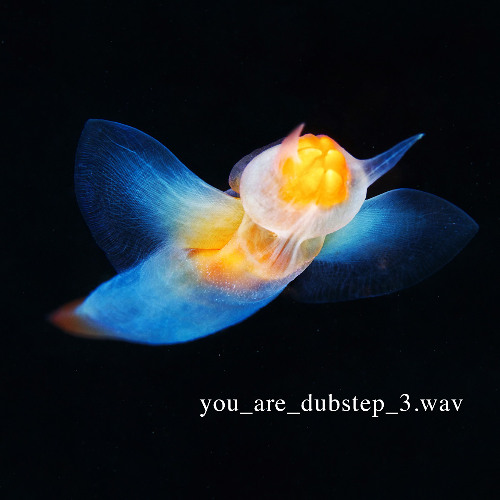 YOU ARE DUBSTEP 3