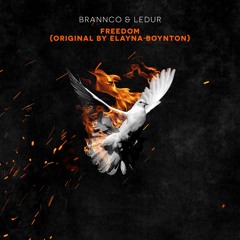 Anthony Hamilton & Elayna Boynton - Freedom (Brannco, Ledur VIP Mix)