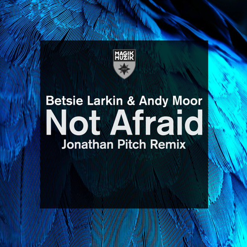 Not Afraid (Jonathan Pitch Remix)