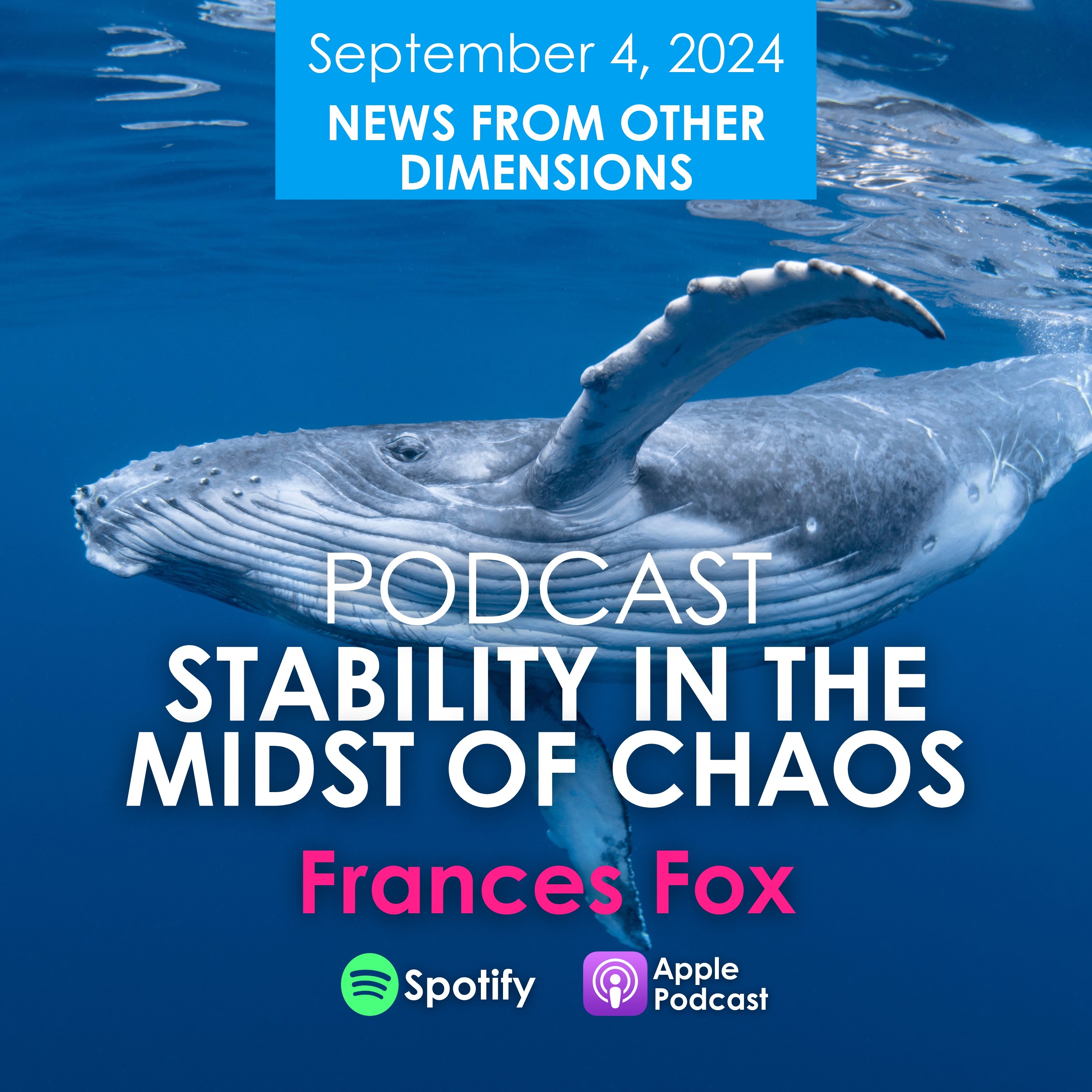 Frances Fox: News From Other Dimensions