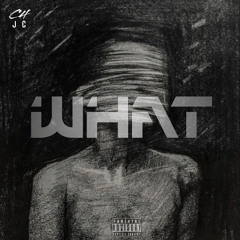 WHAT - D&B x HARDSTLYE - C4